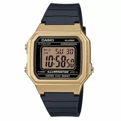 Casio Standard Digital Watch (W-217HM-9A)